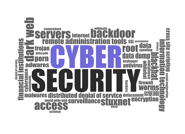 Information Technology Services in Lucknow, Hazratganj